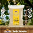 thumbnail image 3 of Rani Amla Powder (Indian Gooseberry) 7oz (200g) ~ All Natural | No Color | Gluten Friendly | Vegan | NON-GMO | Kosher | No Salt or fillers | Indian Origin, 3 of 9