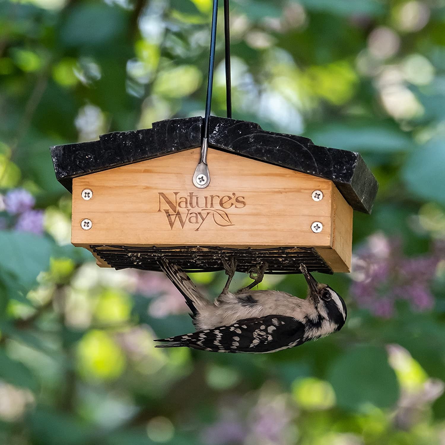 Nature's Way Bird Products Cedar Upside-Down 1-Cake Multi-Bird Suet Feeder, 1 lb Capacity