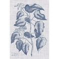 thumbnail image 3 of Vision Studio 17x24 Black Modern Framed Museum Art Print Titled - Navy And Linen Botanical VIII, 3 of 5
