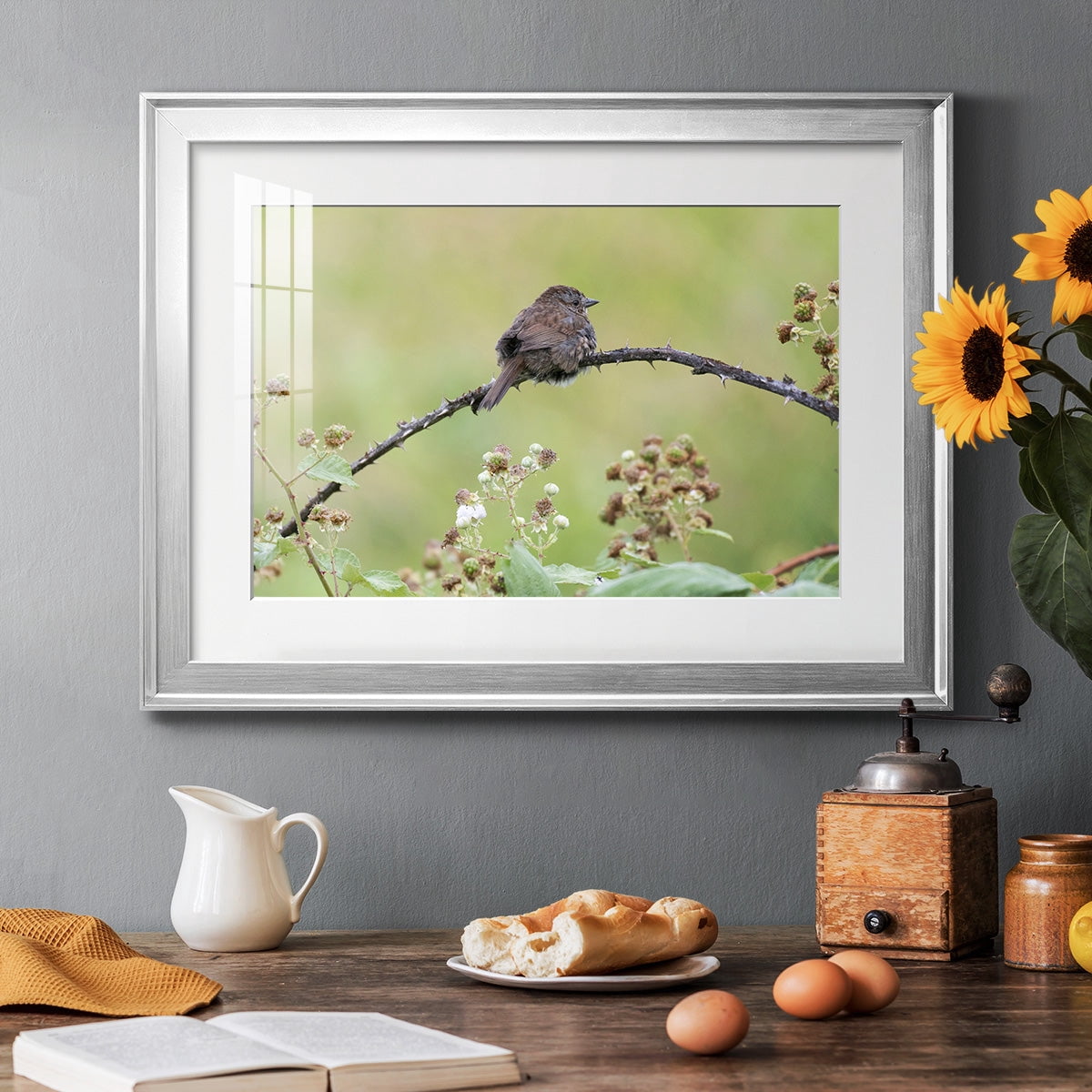 Resting Sparrow Premium Framed Print - Ready to Hang
