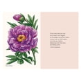 thumbnail image 3 of Little Book of Natural Wonders Peonies: A Little Book of Flowers, (Hardcover), 3 of 6