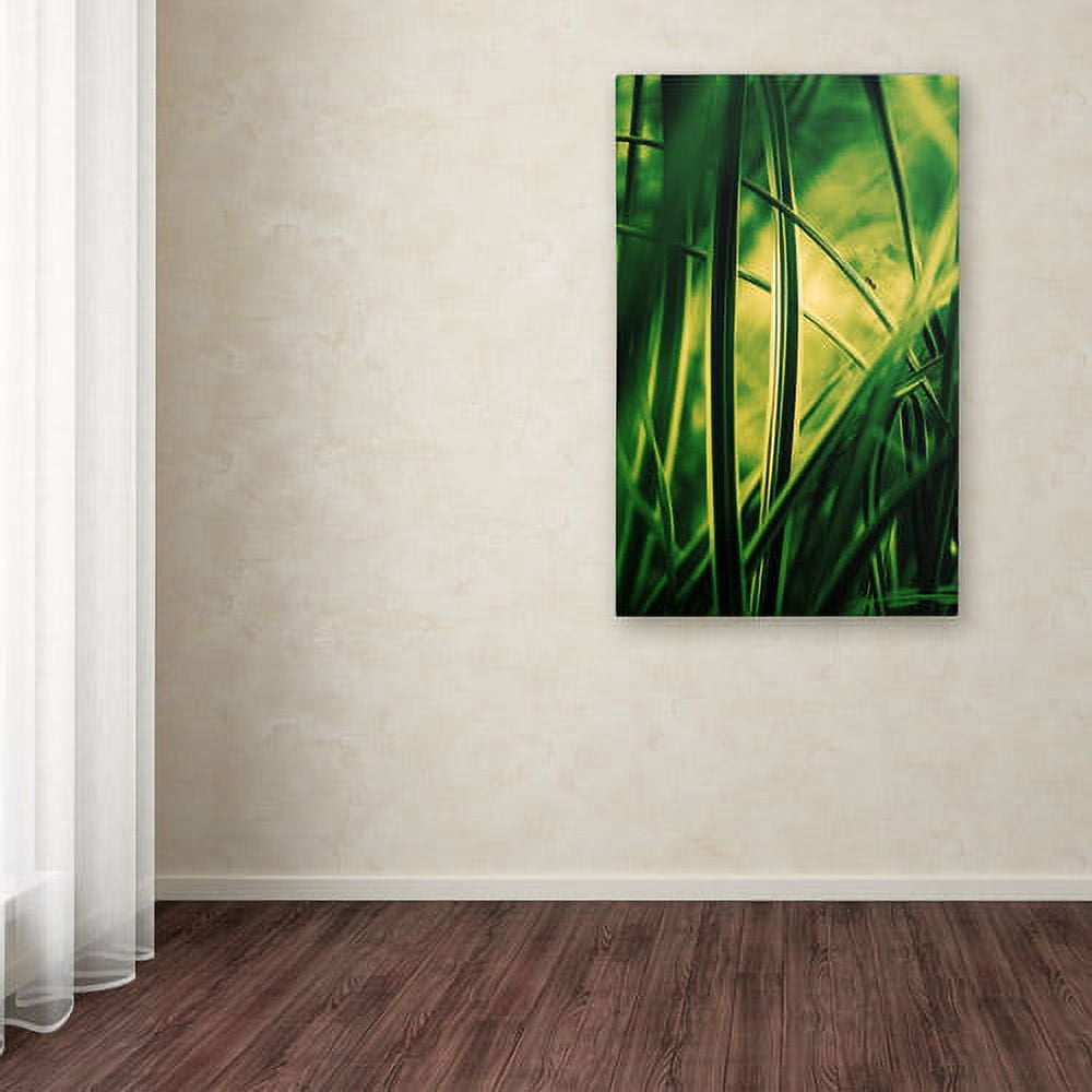 Trademark Fine Art "Miniature" Canvas Art by Philippe Sainte-Laudy
