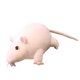 thumbnail image 3 of Tholdsy Ratón de juguete decoración de adorno de habitación niños niñas rata muñecas niños regalo simulación juguetes de peluche juguetes de Animales de peluche y juguetes de peluche No.1 Tholdsy FN007478-01, 3 of 6