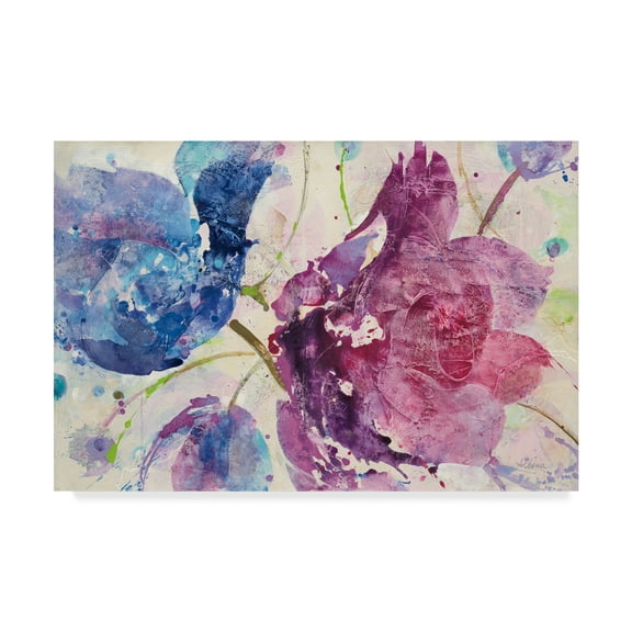 Trademark Fine Art 'Fireworks Abstract v2' Canvas Art by Albena Hristova