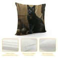 thumbnail image 4 of MDO Black Cat Decorative Throw Pillow Covers Pillows Case Square Cushion Cover Standard Pillowcase for Sofa Couch Bedroom Patio 18 X18 Inch, 4 of 5