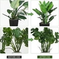 thumbnail image 6 of 10 Pack Stackable Monstera Plant Support, 2025 New Plant Stakes for Indoor and Outdoor Plants Use, Garden Stakes for Climbing and Potted Plants, Pothos, Philodendron (10 Pack), 6 of 7