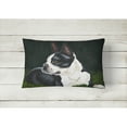 thumbnail image 2 of Carolines Treasures AMB1321PW1216 Boston Terrier Beauty Fabric Decorative Pillow 12H x16W multicolor, 2 of 3