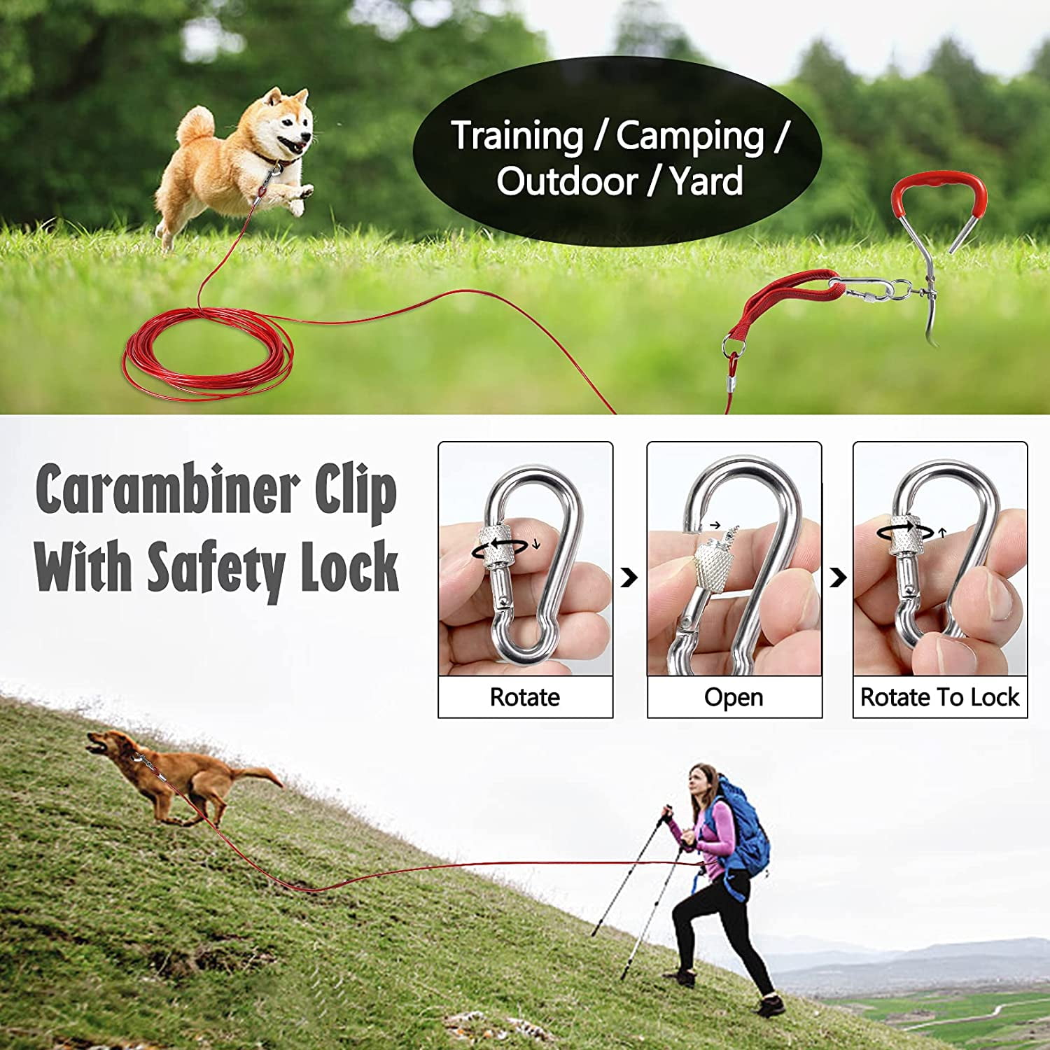 Dog yard cable hotsell