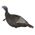 thumbnail image 1 of Flextone Thunder Jake Decoy, 1 of 5
