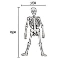 thumbnail image 2 of Figura Esqueleto Para Armar La Huesuda Día De Muertos, 2 of 4