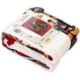 thumbnail image 3 of Manta Northwest Harry Potter Silk Touch Sherpa de 40 x 50 cm, 3 of 5