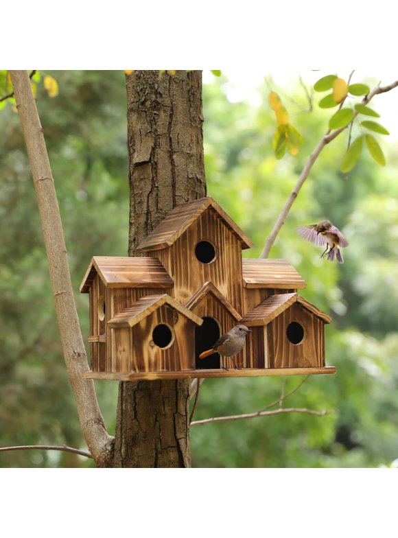 Bird Houses in Bird Feeders and Bird Houses