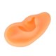 thumbnail image 3 of Molde de Oído Simulado ANGGREK Modelo de Oído Flexible Profesional Impermeable Para Hospital, 3 of 8