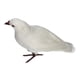 thumbnail image 5 of Figuras de esculturas de estatua de pájaros de palomas decorativas Zulema 1 de pie blanco Decoy Pigeon Artificial, 5 of 8