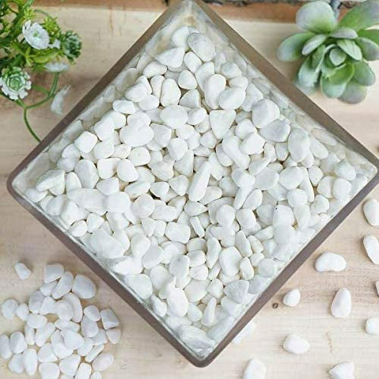 Decorative Pebbles For Vases Shelly Lighting