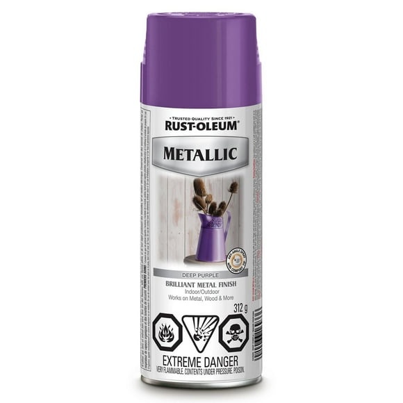 Rust-Oleum Finition Métallique Extérieure - Violet Profond 312 g Peinture en Aérosol