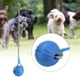 thumbnail image 4 of Dog Chew Toy, Resistant Interactive Dog Ball Toy, Pet For Dog, 4 of 8