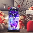 thumbnail image 6 of Danhjin Forever Rose, Colorful Luminous Flower in Glass Cover for Women Valentine's Day Gifts for Mom Anniversary and Birthday as Home Decor, 6 of 7