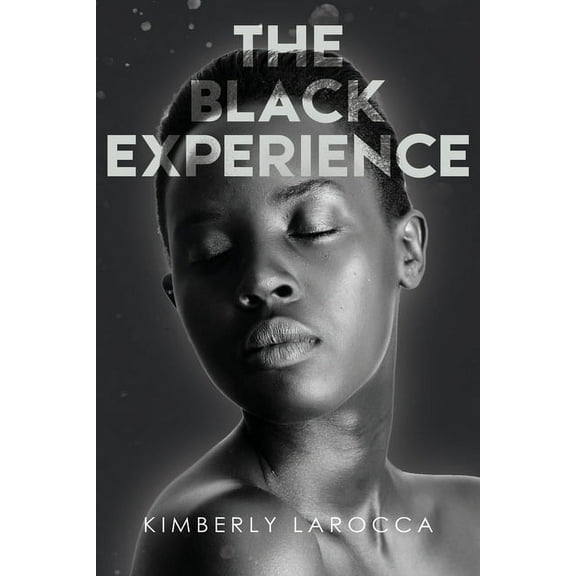 The Black Experience (Paperback)