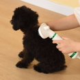 thumbnail image 4 of Billuyoard Secador de pelo para mascotas, 300W, ajustable, 2 en 1, cepillo para el pelo para mascotas, mango de bajo ruido, soplador para acicalamiento de Suministros para perros, 4 of 6