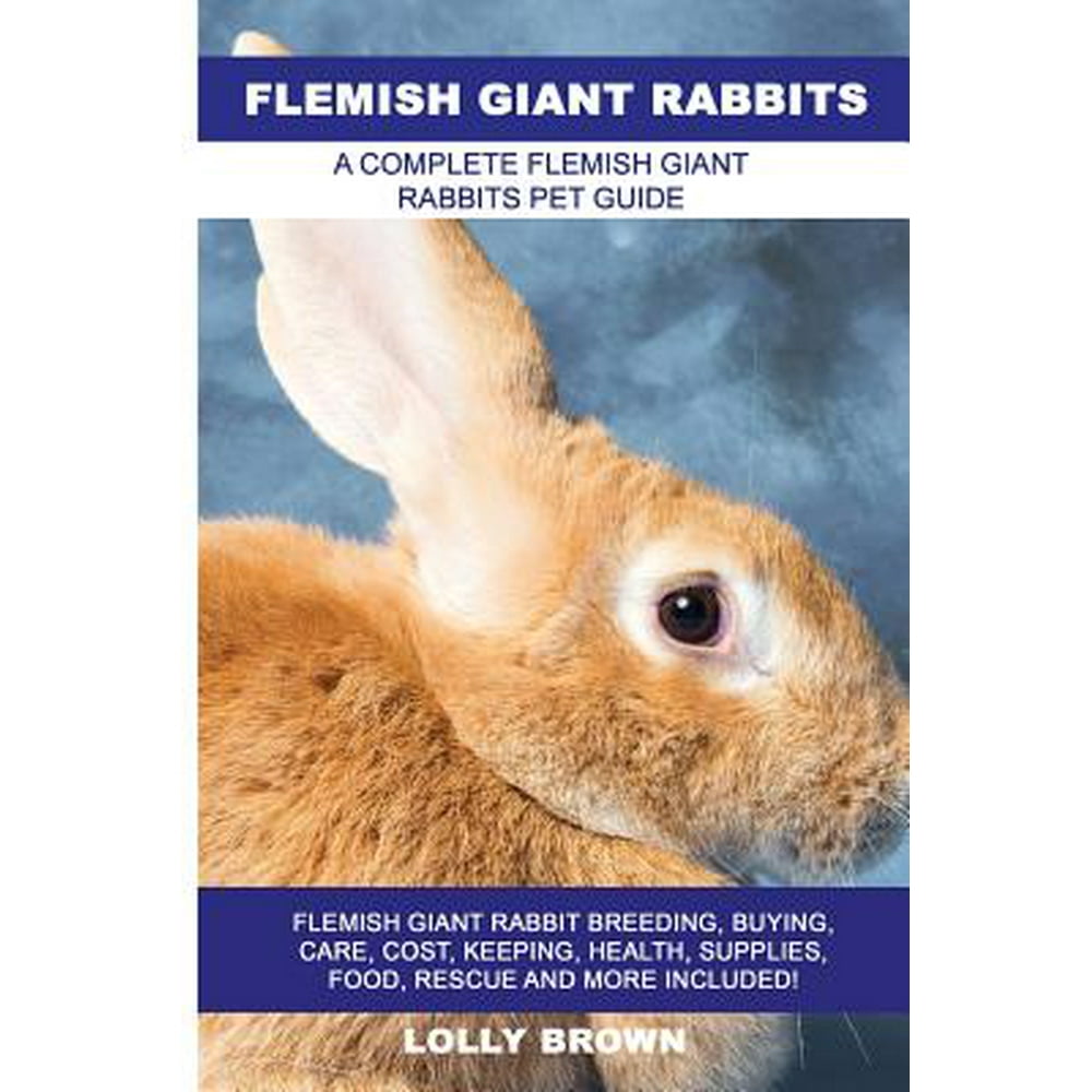 Flemish Giant Rabbits Flemish Giant Rabbit Breeding, Buying, Care