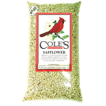 10 LB Safflower Bird Food Special Seed That Strongly Attracts (Best Bird Seed To Attract Cardinals)