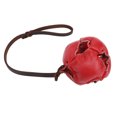 thumbnail image 1 of Dog Training Ball Release Energy Reduce Anxiety Interactive Exercise and Reward Ball On Rope Toy for Small Medium Dogs, 1 of 7