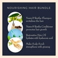 thumbnail image 2 of AyurVita Natural Shampoo, Conditioner, Scalp Scrub Cleanser, Hair Oil 4pk, 2 of 9
