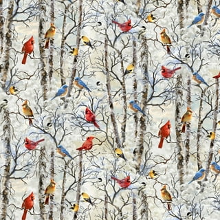 St. Louis Cardinals Patch Cotton Fabric 58