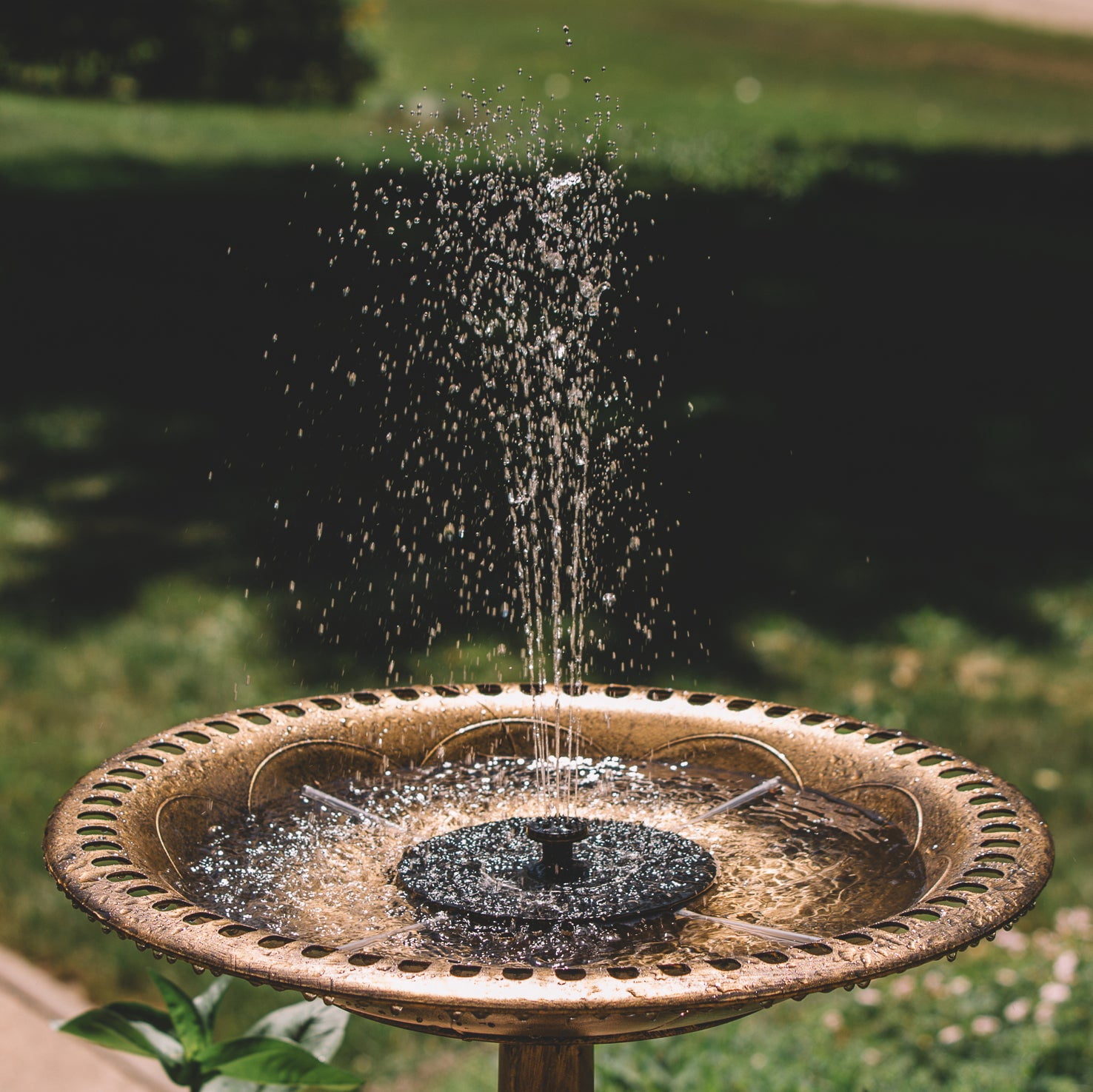 Backyard Expressions Solar Pump Outdoor Bird Bath Fountain, Antique Bronze Finish