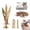 1.18in,50PCS, variant on Self-Drilling Drywall Anchors,Drywall Screws and Anchors,Dry Wall Anchors,Wall Anchors for Drywall and Door Hinge Repair Tool Easy for Fixing Garden Statues,Patio Furniture,Garden Decor(1.18IN,20pcs)