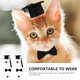 thumbnail image 3 of unbranded 2Ud Sombrero Con Pajarita Para Perros Y Pequeños Color Negro De Tela Suave, 3 of 8