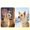 Beige BG, variant on AuroraX Dog Anxiety Wrap Scarf for Dogs Pet Calming Hoodie for Anxiety Quiet Double Layer Warm Fleece Drawstring Dog Soothing Accessories for Home Beige National Dog Day International Cat Day