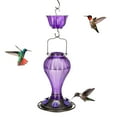 thumbnail image 3 of Kingsyard Glass Hummingbird Feeder 24 Ounces, 6 Feeding Ports, Ant Moat Included, Purple, 3 of 8