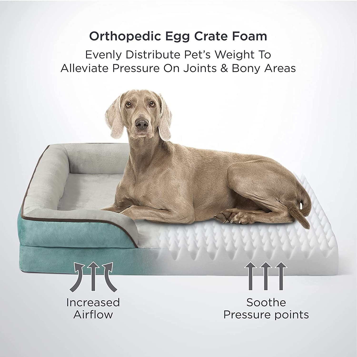 BEDSURE Orthopedic Dog Bed for Medium Dogs Waterproof Dog Bed Medium Foam Sofa with Removable