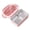 Cherry Blossom Pink, variant on M Buder Portable Bento Lunch Box 304 Stainless Steel Leakproof Divided Food Containers with Spoon and Chopsticks, 8.38 x 5.71 x 2.95 inches / 21.3 x 14.5 x 7.5 cm, Mint Green