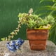 thumbnail image 5 of Decoración del hogar, decoración de habitaciones, decoración de paredes, adornos de jardín, ranas para decoración de jardín, decoraciones para peceras, adornos de ranas de goma, 5 of 6