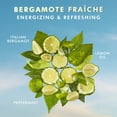 thumbnail image 3 of Crema de Manos Moroccanoil Bergamote Fraîche 100 mL con Aceite de Argán, 3 of 8