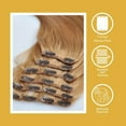 thumbnail image 3 of Honey Blonde Straight Clip Ins with a Free Eye Lash Extensions, 3 of 4