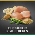 thumbnail image 3 of Pure Balance Pro+ Large Breed Chicken & Brown Rice Recipe Dry Dog Food, 8 lbs, 3 of 10