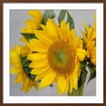 thumbnail image 2 of Art.com Sunny Sunflower IV Photo by Nicole Katano, Brown Frame Wall Art, 29" x 29", 2 of 5
