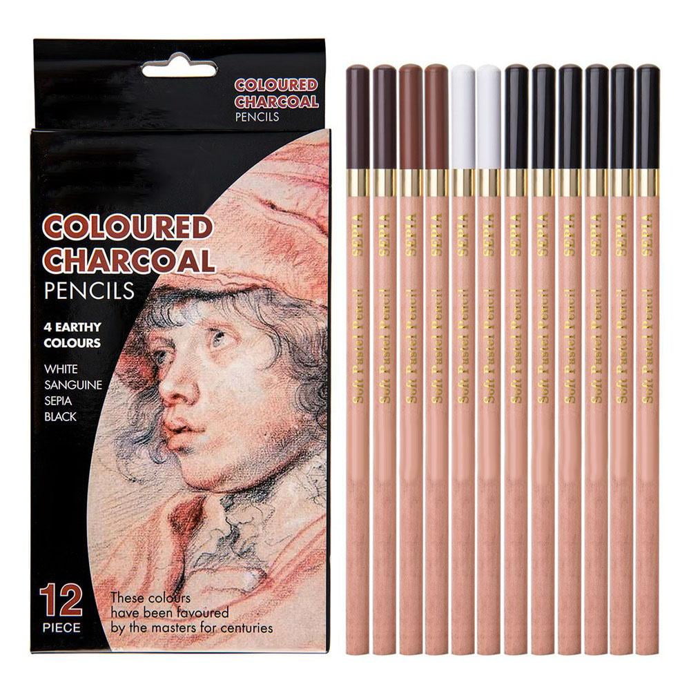 White Charcoal Pencils Set Artist 3pcs White Highlighter Wood Sketching Pencils Charcoal Sticks for Professionals Beginners Kid Adults for Impressive Drawing Shading Hooking Lines 