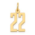 thumbnail image 1 of 14K Yellow Gold Polished Finish Small Size Elongated Shape Number 22 Charm Pendant, 1 of 4