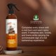 thumbnail image 3 of Colonia en aerosol para después del afeitado Clubman Virgin Island Bay Rum 473 ml, 3 of 6