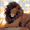 style1, variant on Paint by Number DIY Paint by Numbers Kit for Kids & Adults Beginner DIY Acrylic Painting Kits, 16x20 inch （Lion）