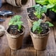 thumbnail image 5 of Etiquetas para Plantas NQ 100 Piezas Plástico Grueso Negras, 5 of 5