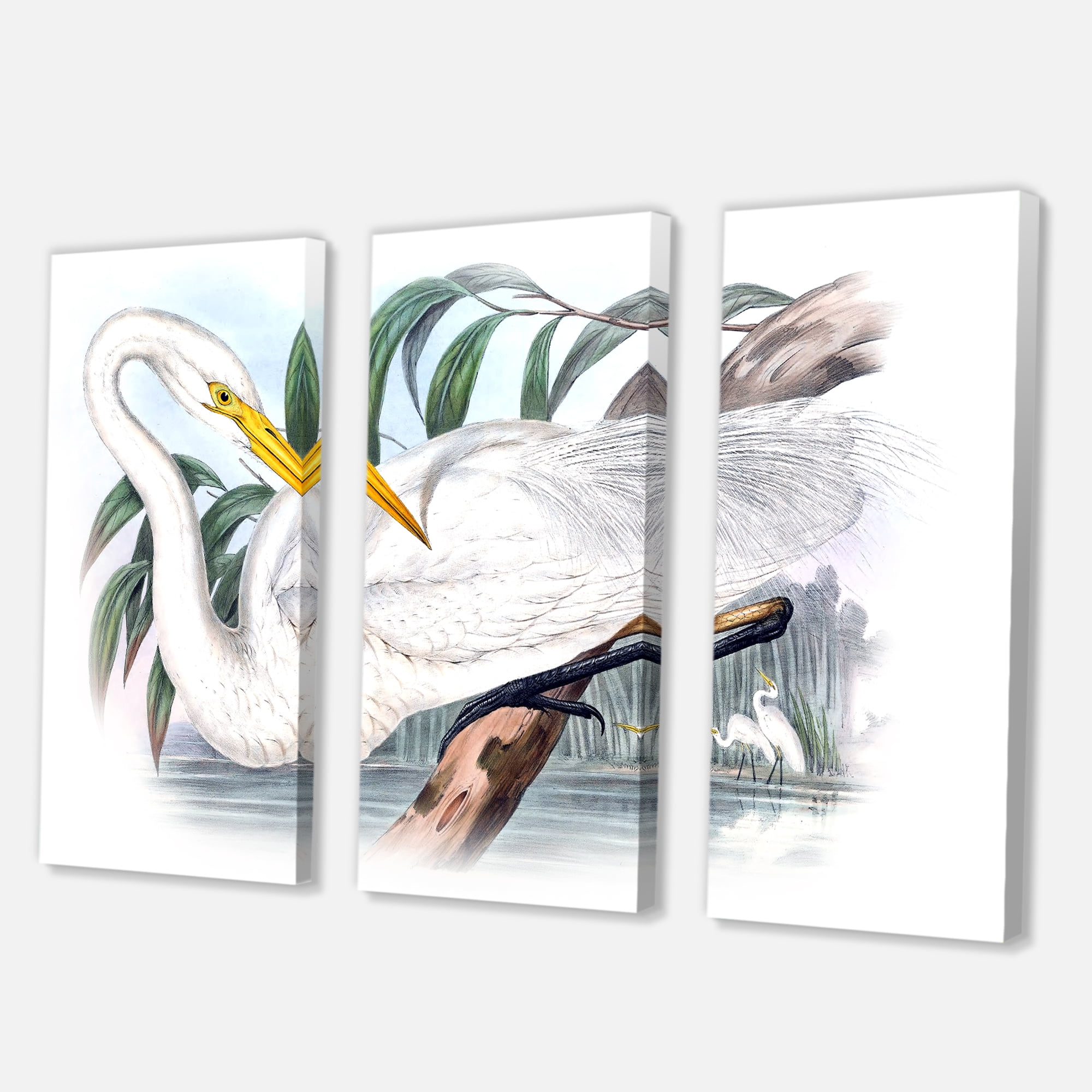 Designart ' Ancient Australian Birds IV ' Traditional Canvas Wall Art Print