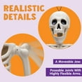 thumbnail image 5 of 2 PCS 24” Halloween Skeleton Decor, 2 FT Full Body Stayable Posable Skeletons for Halloween, White Human Plastic Bones with Movable Joints for Spooky Indoor Outdoor Decoration, Graveyard Prop, 5 of 8