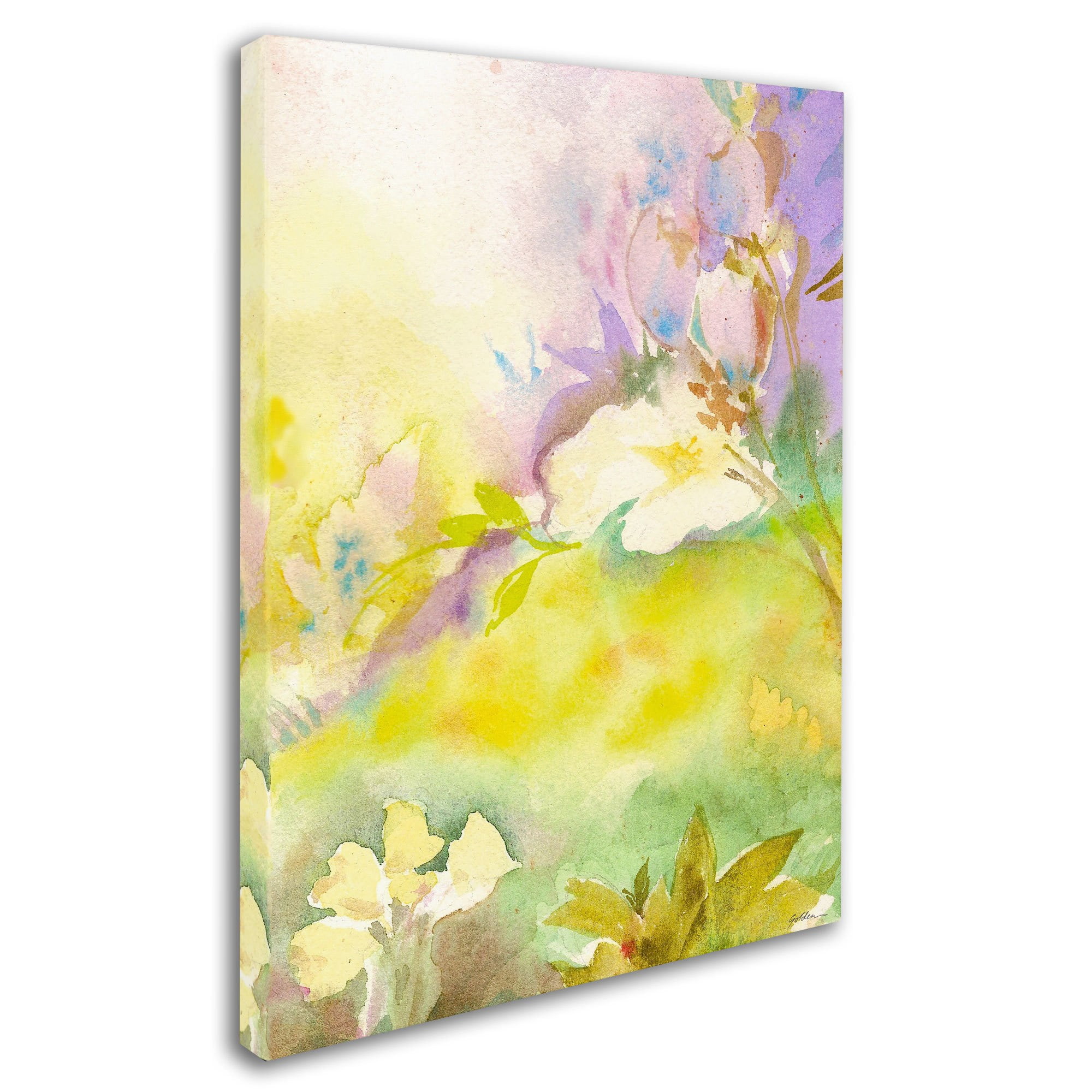 Trademark Fine Art "Enchanted" Canvas Art by Sheila Golden
