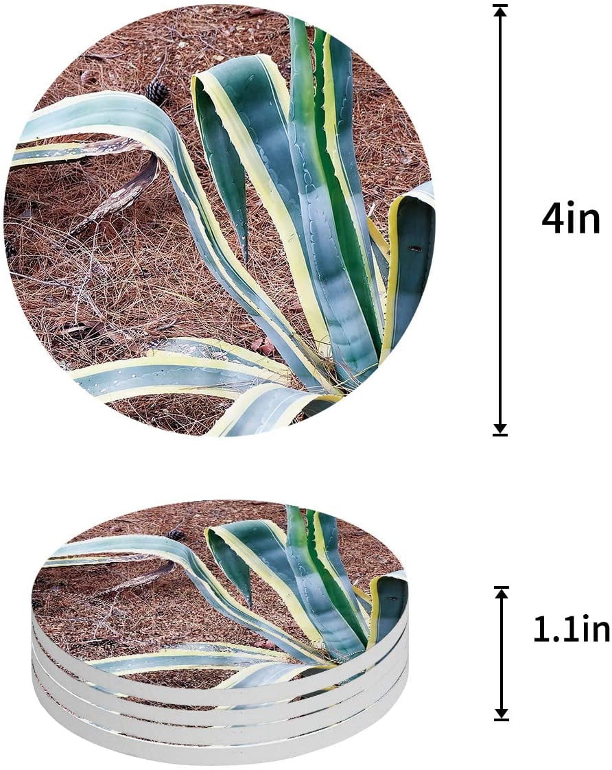 Set Of 4 Green Plant Sage Coasters - Absorbent Ceramic Stone With Cork Backing | Cute Home Decor Gift